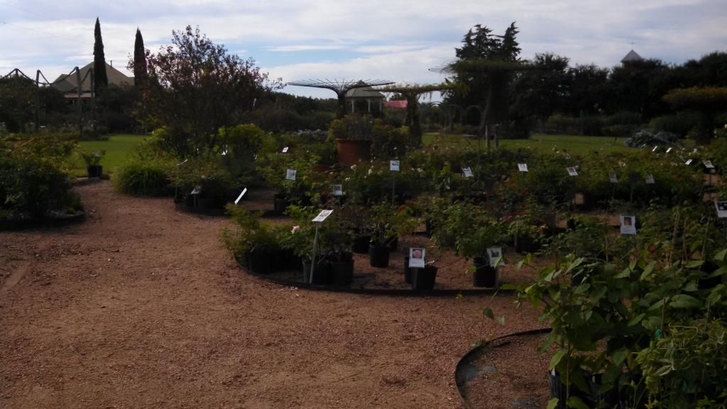  photo IMG_20140924_101053_652.jpg